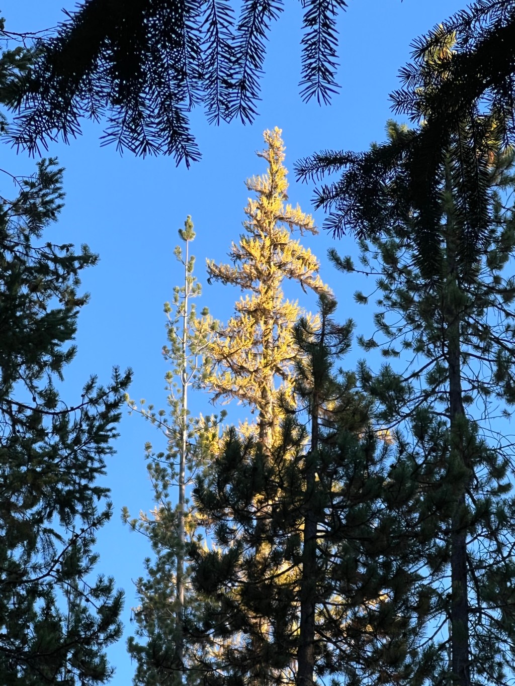 Time off…  Taking a new direction in&nbsp;life