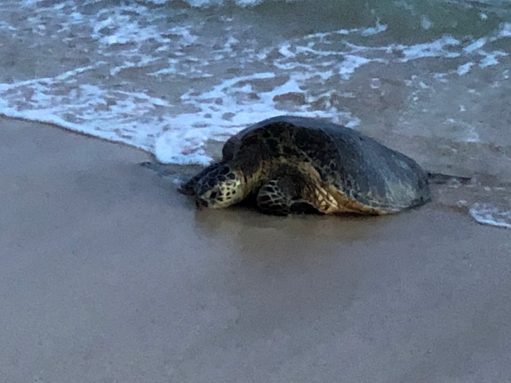 Favorite place to&nbsp;travel…