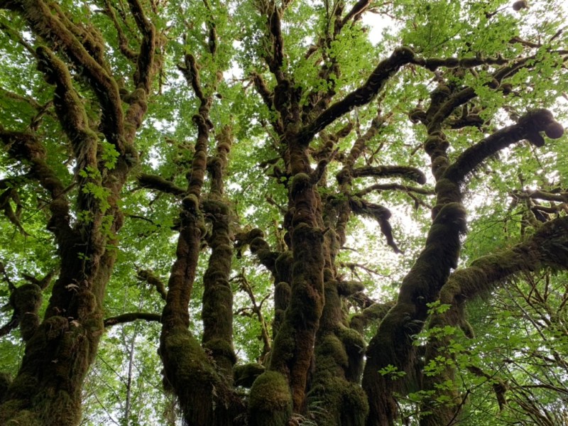 It’s raining a bit in the Northwest…