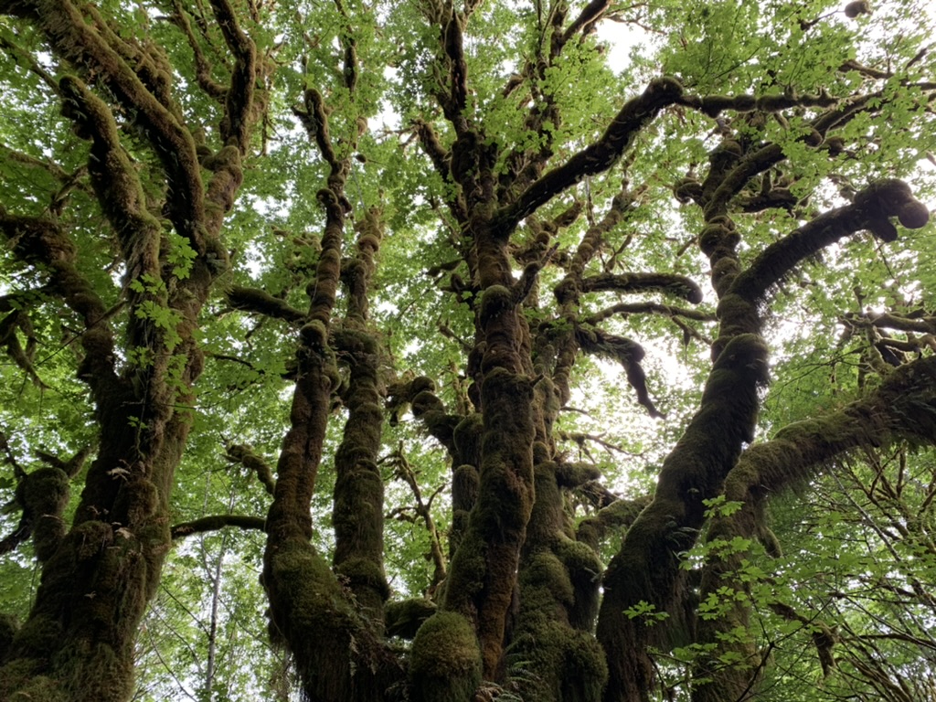 It’s raining a bit in the Northwest…