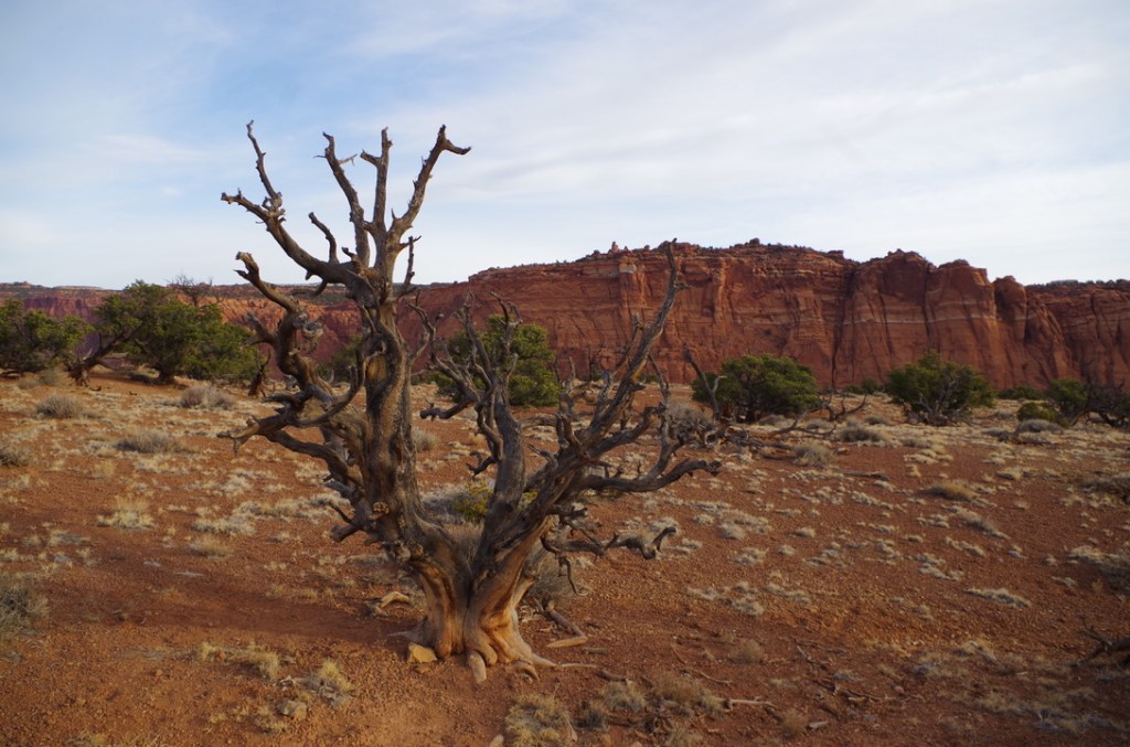 Most underrated national&nbsp;park…