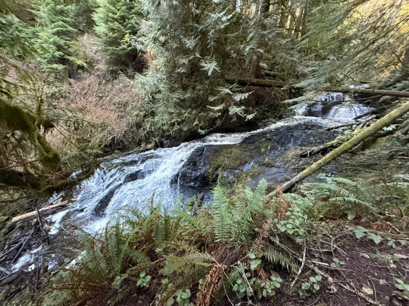 First hike of the&nbsp;year…