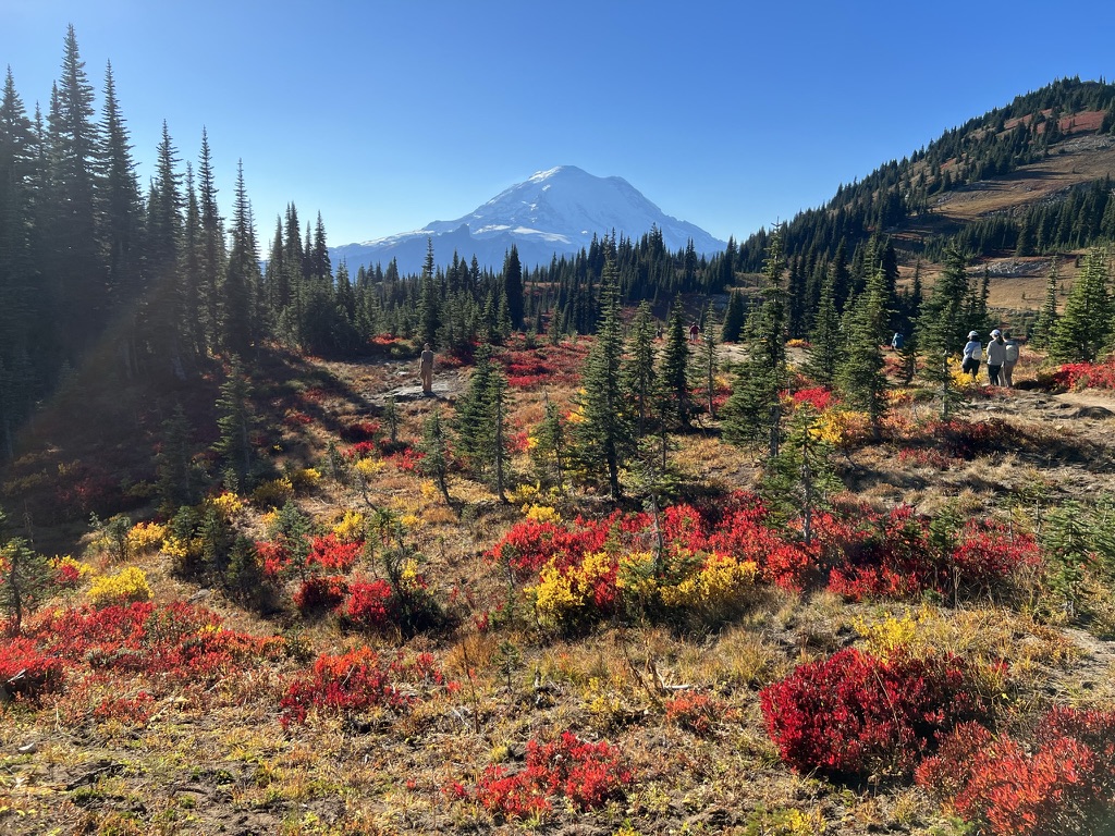 It’s Lottery Season!